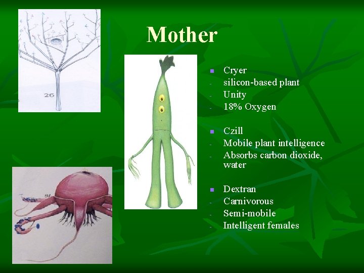 Mother n - n - Cryer silicon-based plant Unity 18% Oxygen Czill Mobile plant