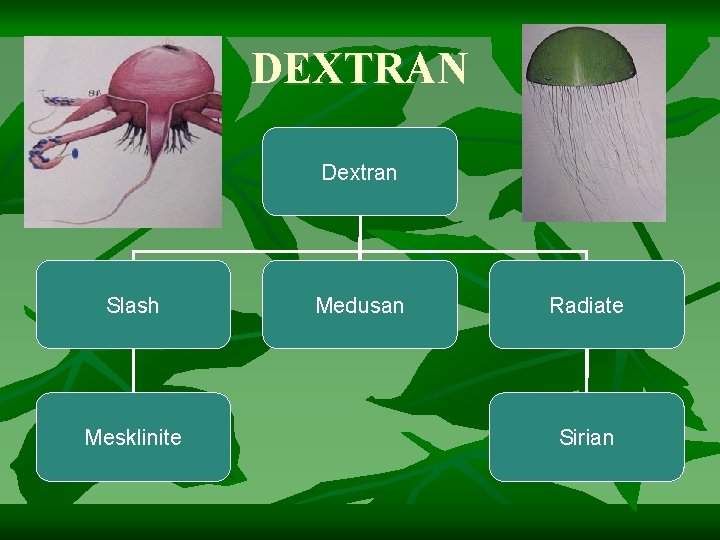 DEXTRAN Dextran Slash Mesklinite Medusan Radiate Sirian 