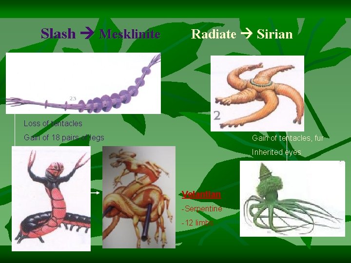 Slash Mesklinite Radiate Sirian Loss of tentacles Gain of 18 pairs of legs Gain