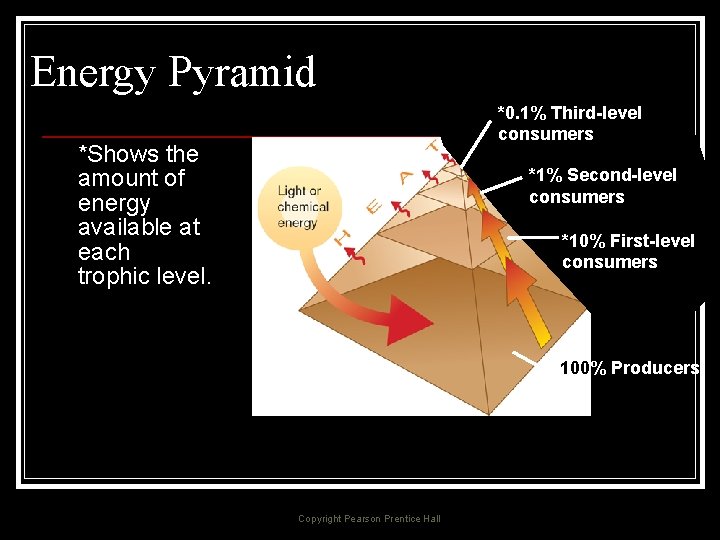 Energy Pyramid *0. 1% Third-level consumers *Shows the amount of energy available at each
