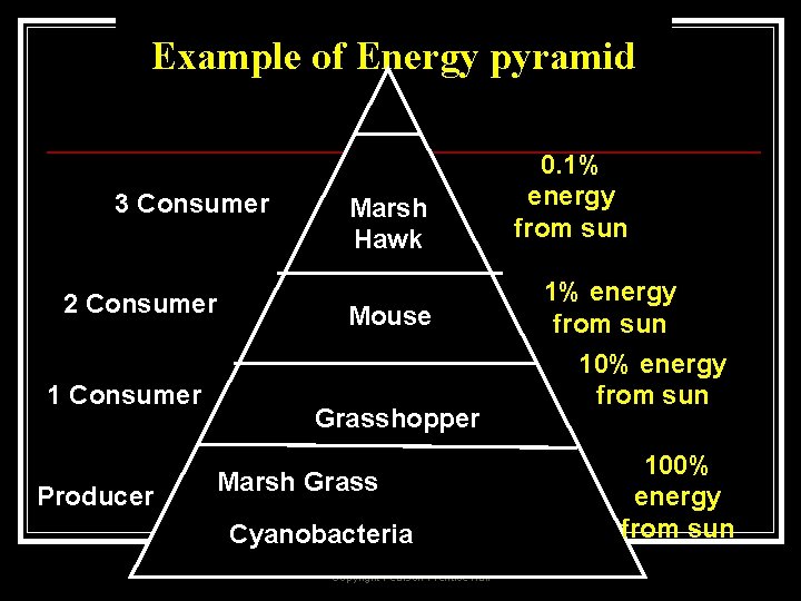 Example of Energy pyramid 3 Consumer 2 Consumer 1 Consumer Producer Marsh Hawk Mouse