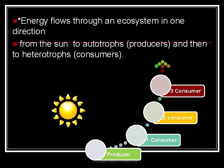 n*Energy flows through an ecosystem in one direction n from the sun to autotrophs