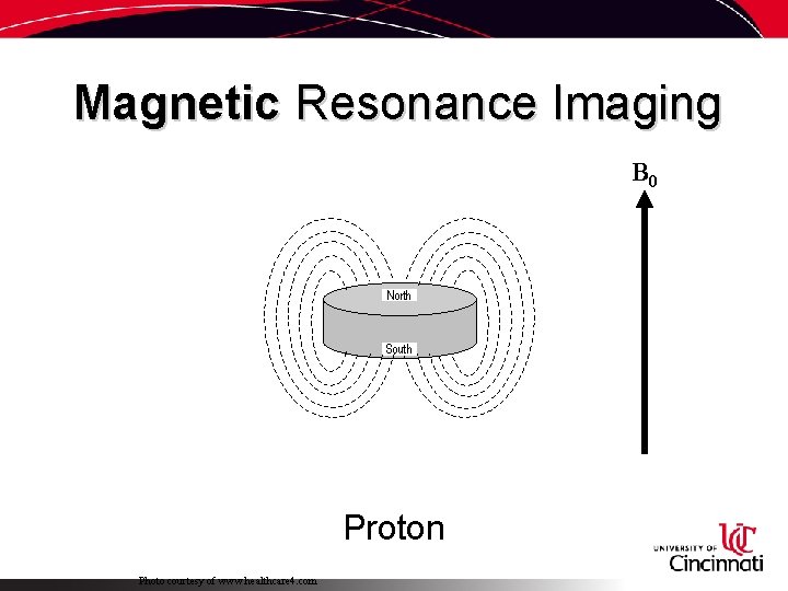 Magnetic Resonance Imaging B 0 Proton Photo courtesy of www. healthcare 4. com 