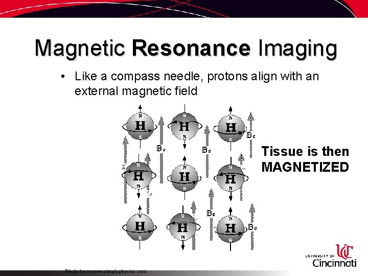 Magnetic Resonance Imaging • Like a compass needle, protons align with an external magnetic