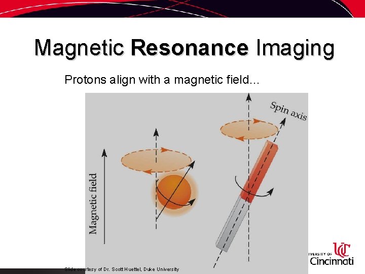 Magnetic Resonance Imaging Protons align with a magnetic field… Slide courtesy of Dr. Scott