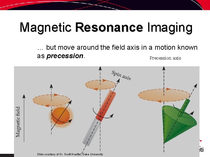 Magnetic Resonance Imaging … but move around the field axis in a motion known