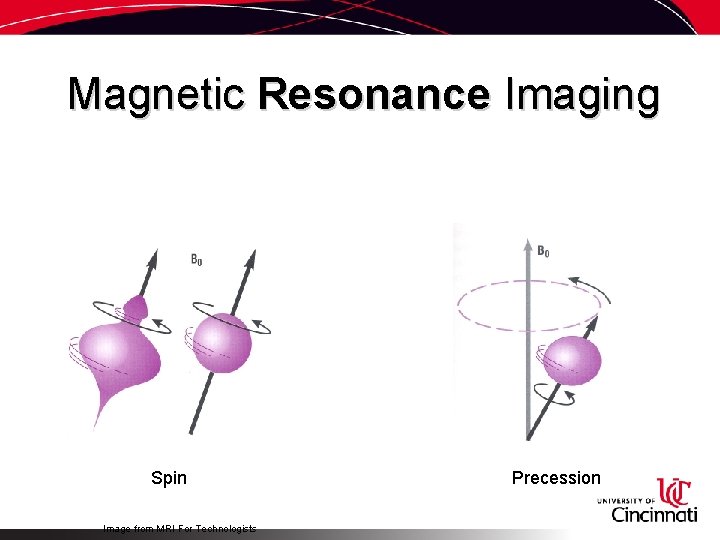 Magnetic Resonance Imaging Spin Image from MRI For Technologists Precession 