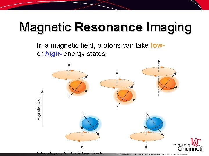 Magnetic Resonance Imaging In a magnetic field, protons can take low- or high- energy