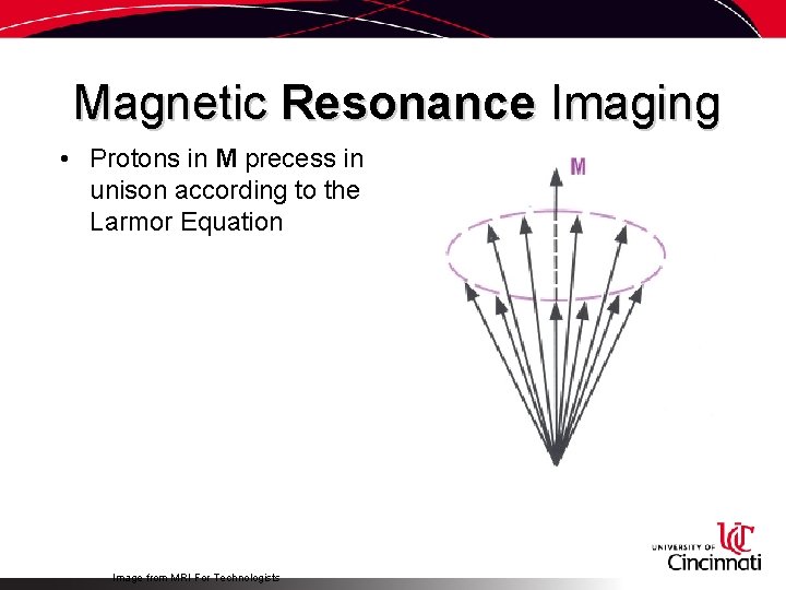 Magnetic Resonance Imaging • Protons in M precess in unison according to the Larmor