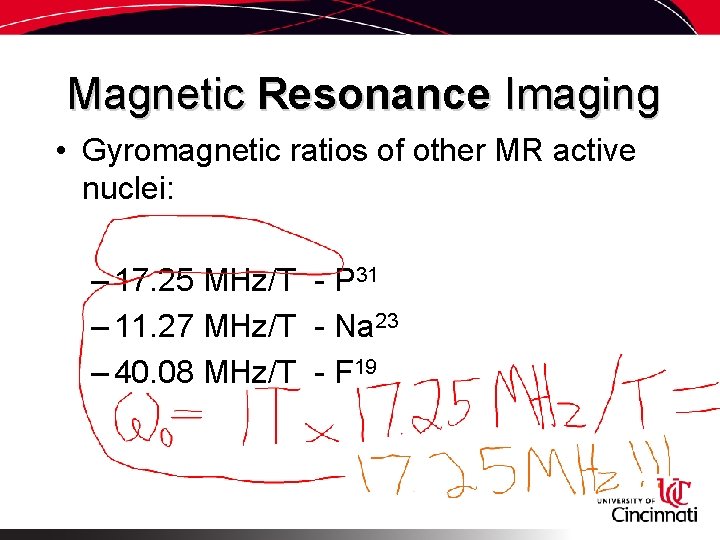 Magnetic Resonance Imaging • Gyromagnetic ratios of other MR active nuclei: – 17. 25