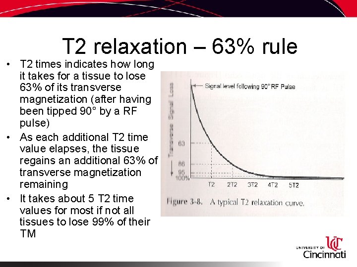 T 2 relaxation – 63% rule • T 2 times indicates how long it