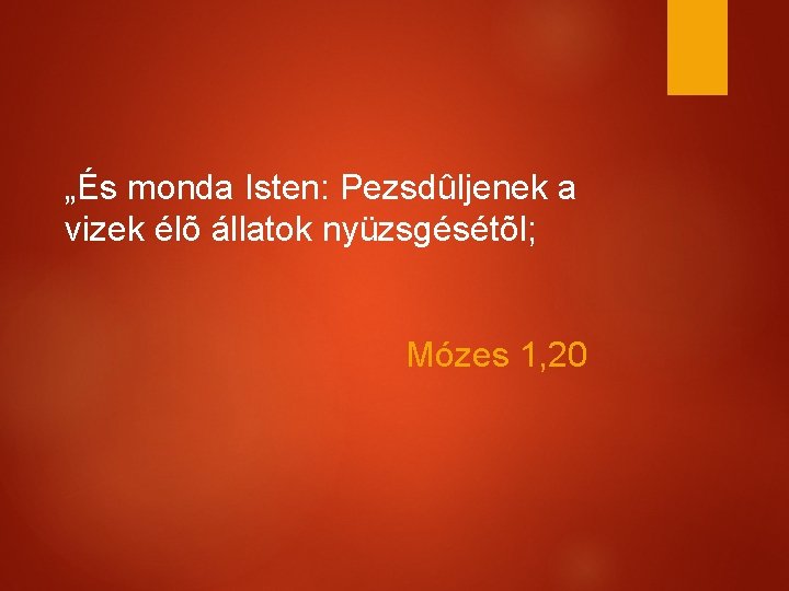 „És monda Isten: Pezsdûljenek a vizek élõ állatok nyüzsgésétõl; Mózes 1, 20 