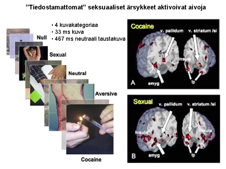 ”Tiedostamattomat” seksuaaliset ärsykkeet aktivoivat aivoja • 4 kuvakategoriaa • 33 ms kuva • 467