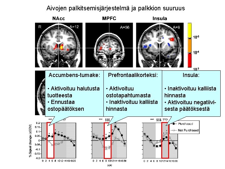 Aivojen palkitsemisjärjestelmä ja palkkion suuruus Accumbens-tumake: Prefrontaalikorteksi: Insula: • Aktivoituu halutusta tuotteesta • Ennustaa