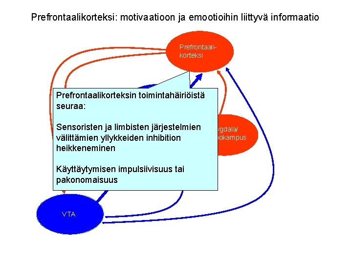Prefrontaalikorteksi: motivaatioon ja emootioihin liittyvä informaatio Prefrontaalikorteksin toimintahäiriöistä Thalamus seuraa: Sensoristen ja limbisten järjestelmien