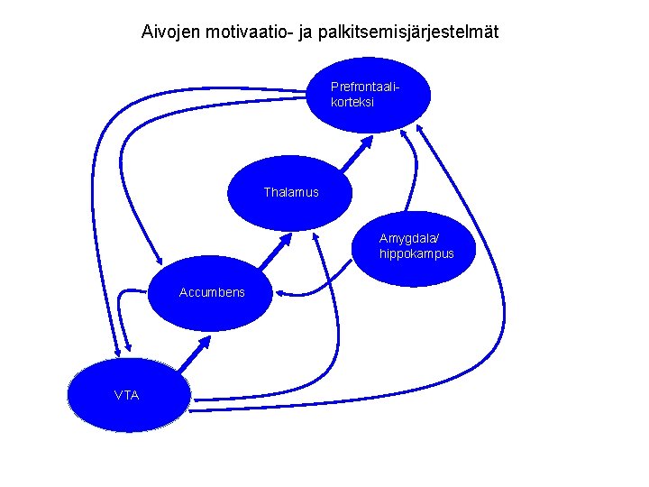 Aivojen motivaatio- ja palkitsemisjärjestelmät Prefrontaalikorteksi Thalamus Amygdala/ hippokampus Accumbens VTA 