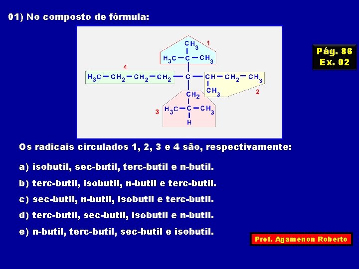 01) No composto de fórmula: Pág. 86 Ex. 02 Os radicais circulados 1, 2,