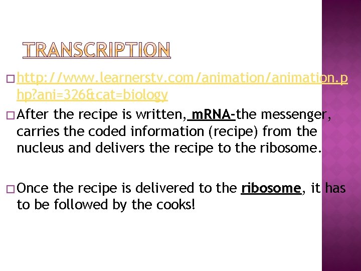 � http: //www. learnerstv. com/animation. p hp? ani=326&cat=biology � After the recipe is written,
