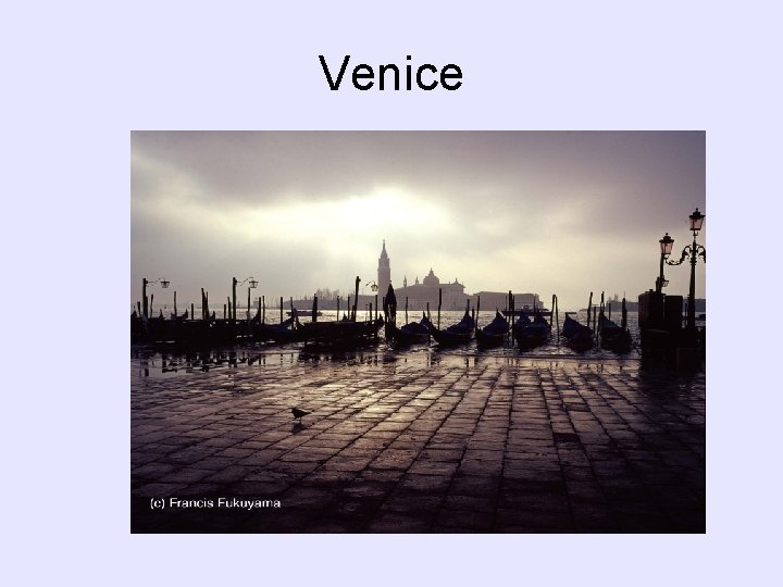 Venice Venice