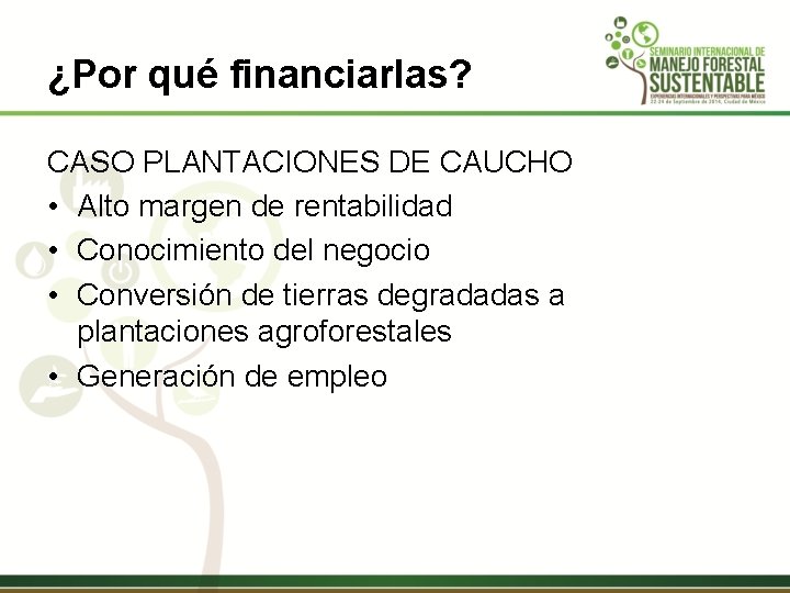 ¿Por qué financiarlas? CASO PLANTACIONES DE CAUCHO • Alto margen de rentabilidad • Conocimiento