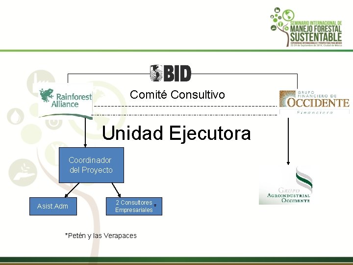 Comité Consultivo Unidad Ejecutora Coordinador del Proyecto Asist. Adm 2 Consultores Empresariales * *Petén