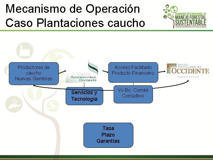 Mecanismo de Operación Caso Plantaciones caucho Acceso Facilitado Producto Financiero Productores de caucho Nuevas