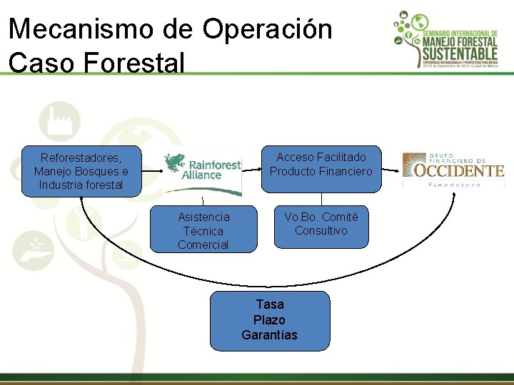 Mecanismo de Operación Caso Forestal Acceso Facilitado Producto Financiero Reforestadores, Manejo Bosques e Industria