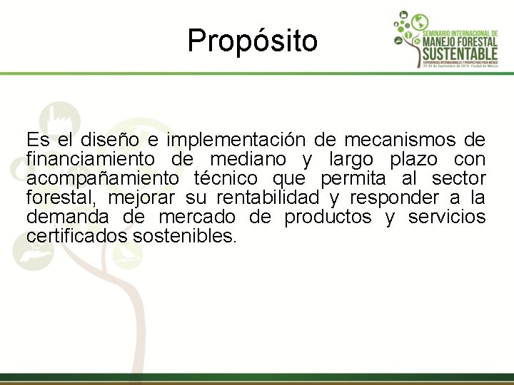 Propósito Es el diseño e implementación de mecanismos de financiamiento de mediano y largo