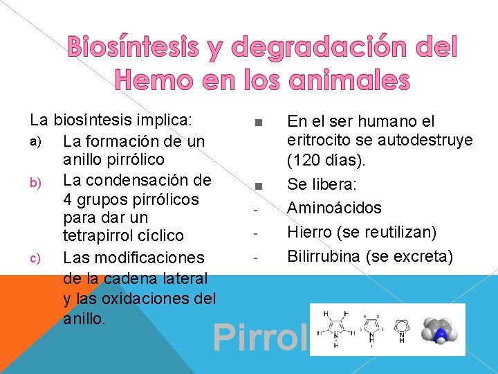 La biosíntesis implica: a) La formación de un anillo pirrólico La condensación de b)