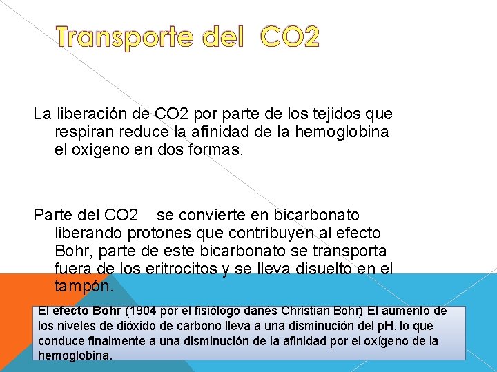 La liberación de CO 2 por parte de los tejidos que respiran reduce la