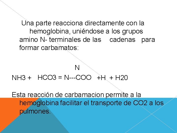 Una parte reacciona directamente con la hemoglobina, uniéndose a los grupos amino N- terminales