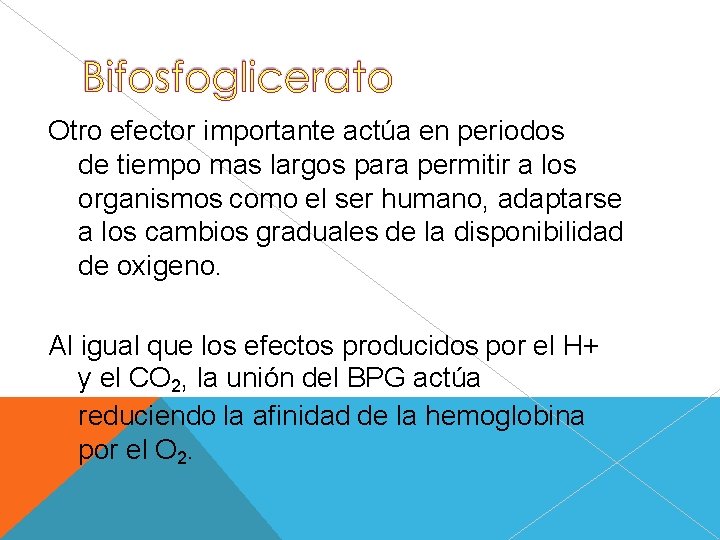Otro efector importante actúa en periodos de tiempo mas largos para permitir a los