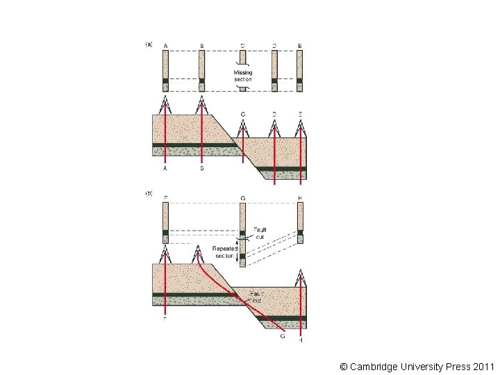 © Cambridge University Press 2011 