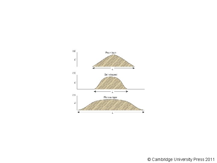 © Cambridge University Press 2011 © Cambridge University Press 2011