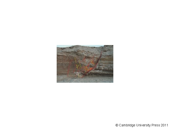 © Cambridge University Press 2011 © Cambridge University Press 2011