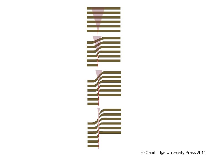 © Cambridge University Press 2011 © Cambridge University Press 2011