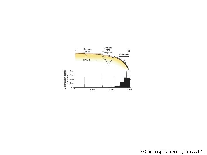 © Cambridge University Press 2011 