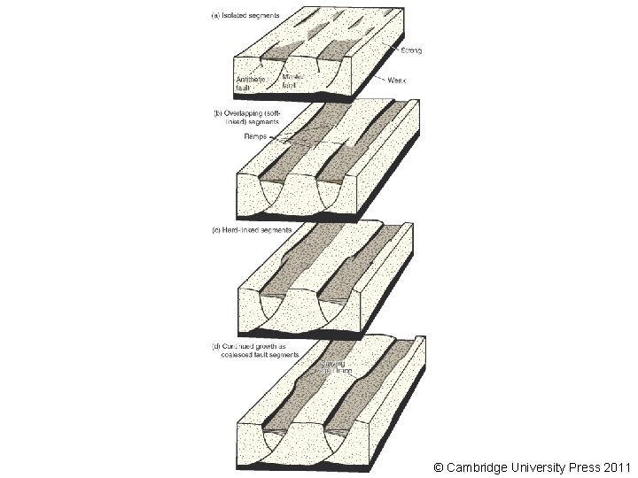 © Cambridge University Press 2011 