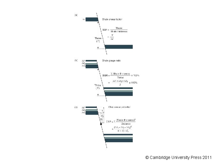 © Cambridge University Press 2011 