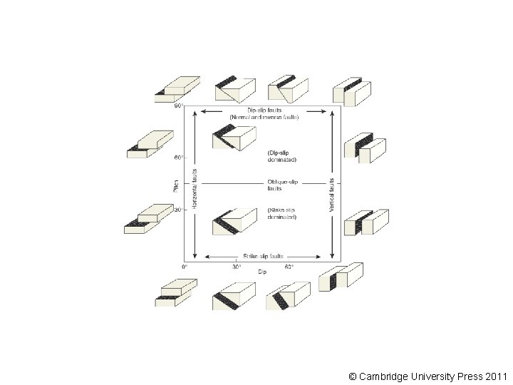 © Cambridge University Press 2011 