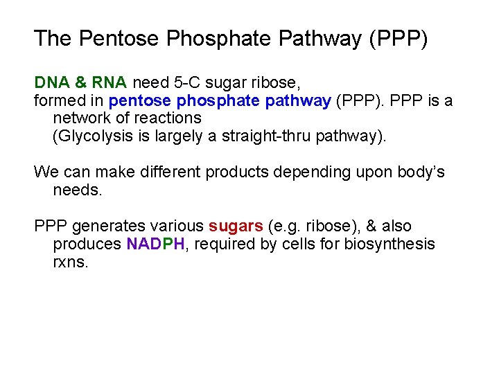 The Pentose Phosphate Pathway (PPP) DNA & RNA need 5 -C sugar ribose, formed