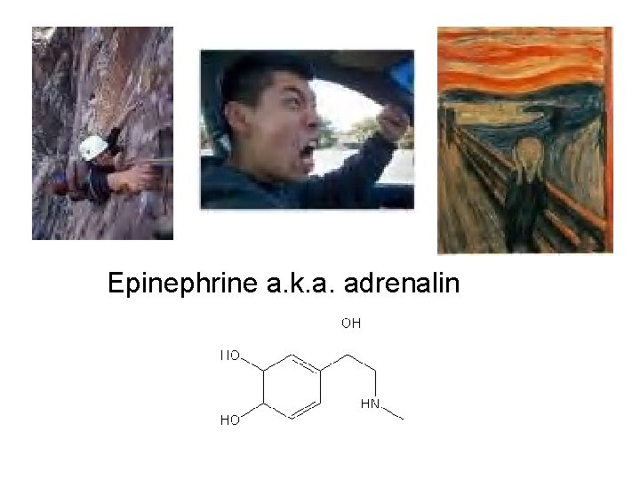 Epinephrine a. k. a. adrenalin 