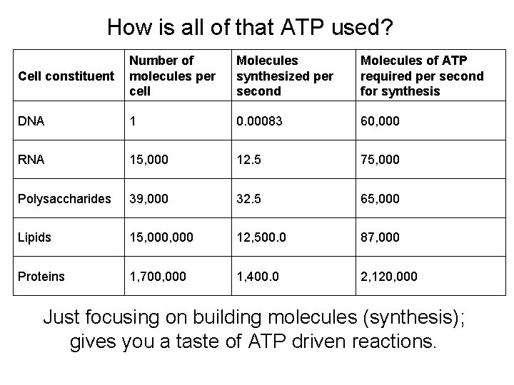 How is all of that ATP used? Cell constituent Number of molecules per cell