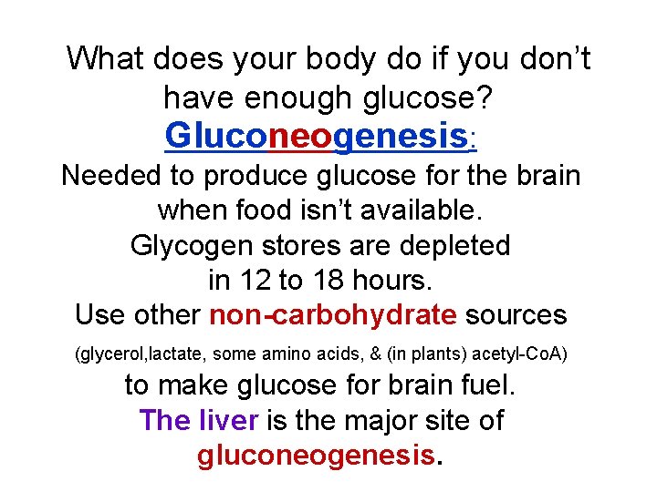 What does your body do if you don’t have enough glucose? Gluconeogenesis: Needed to