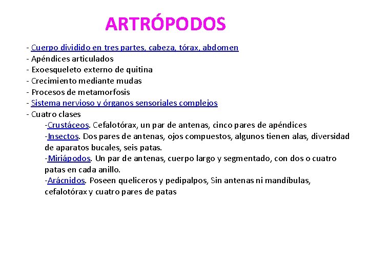 ARTRÓPODOS - Cuerpo dividido en tres partes, cabeza, tórax, abdomen - Apéndices articulados -