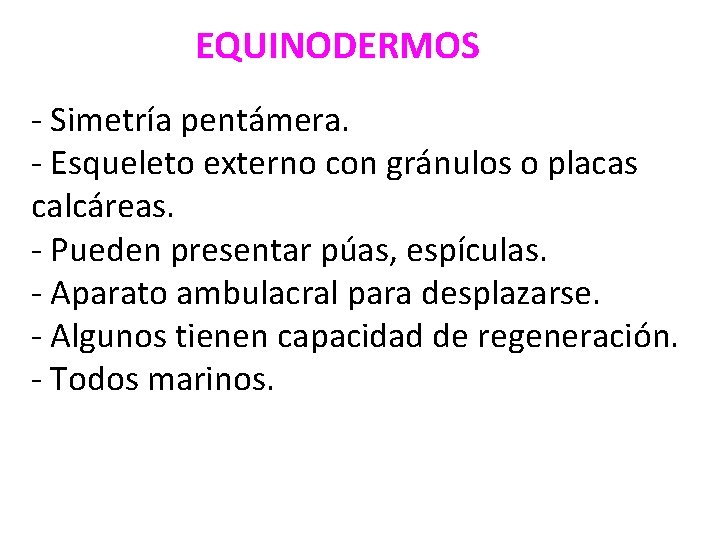 EQUINODERMOS - Simetría pentámera. - Esqueleto externo con gránulos o placas calcáreas. - Pueden
