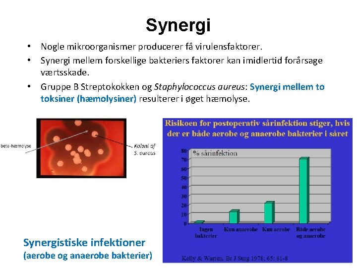 Synergi • Nogle mikroorganismer producerer få virulensfaktorer. • Synergi mellem forskellige bakteriers faktorer kan