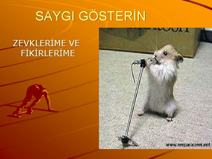 SAYGI GÖSTERİN ZEVKLERİME VE FİKİRLERİME 