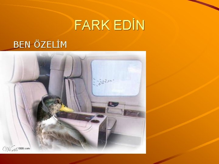 FARK EDİN BEN ÖZELİM 