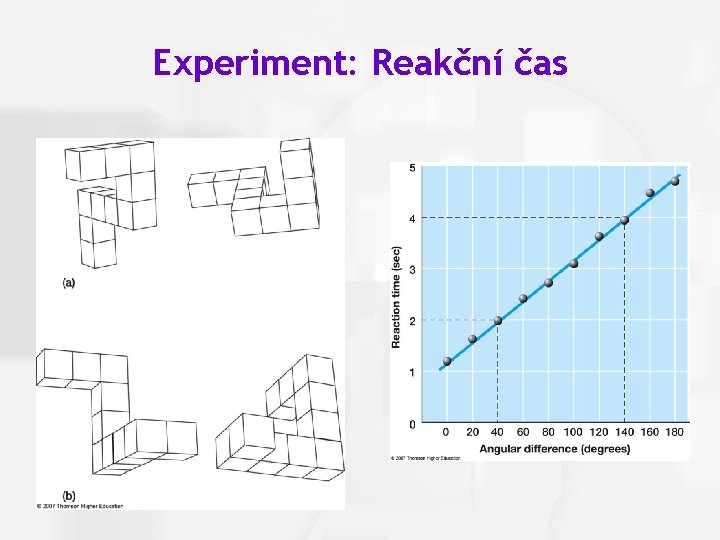 Cognitive Psychology, Fourth Edition, Robert J. Sternberg Chapter 1 Experiment: Reakční čas 